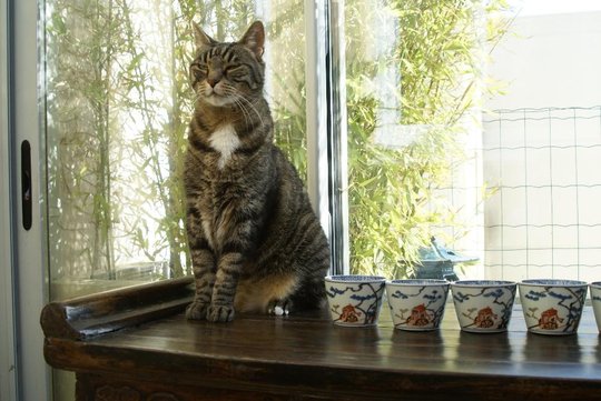 DSC04864.JPG