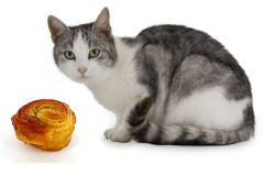 ca.png