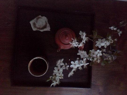 20150318_073720.jpg