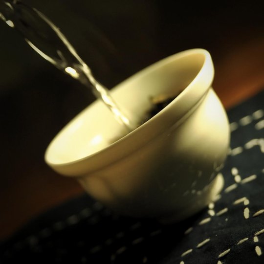 DaWuYe_dancong_2014_teahabitat_07.jpg