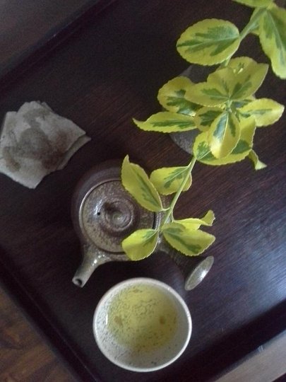 20150422_075546.jpg