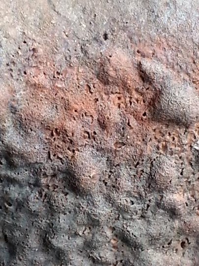 20150429_181157.jpg