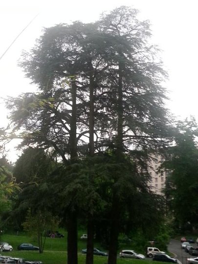 20150504_201352.jpg