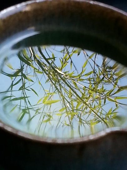 20150524_132408.jpg