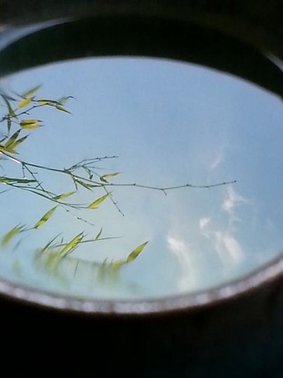 20150524_132455.jpg