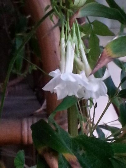 20150527_210213.jpg