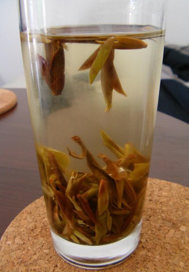 IMAG0014.JPG