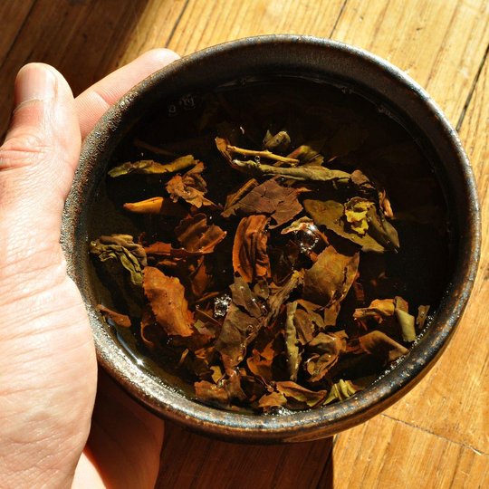MaAnShanKungFuPuerhTea_AHojo_06.jpg