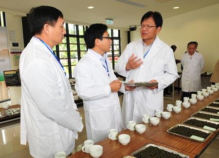 teacompetition.JPG