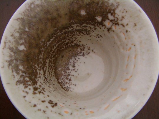SeongIl_gaiwan_inside.JPG