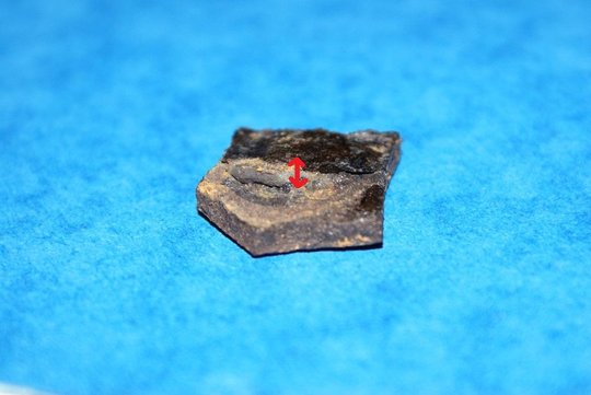 DSC05410.JPG