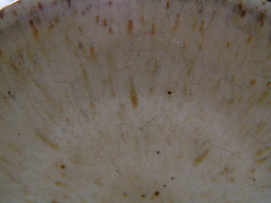 Novak_Woodbark_zoom.JPG