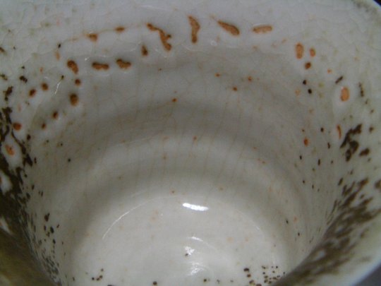 SeongIl_gaiwan_inside2.JPG