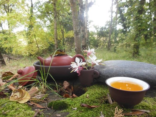 l(esprit du thé-le puerh.jpg