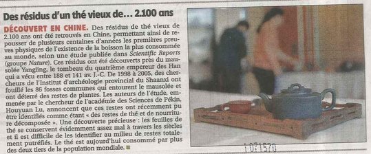 article thé.jpg