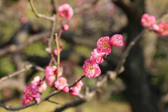IMG_9370.jpg