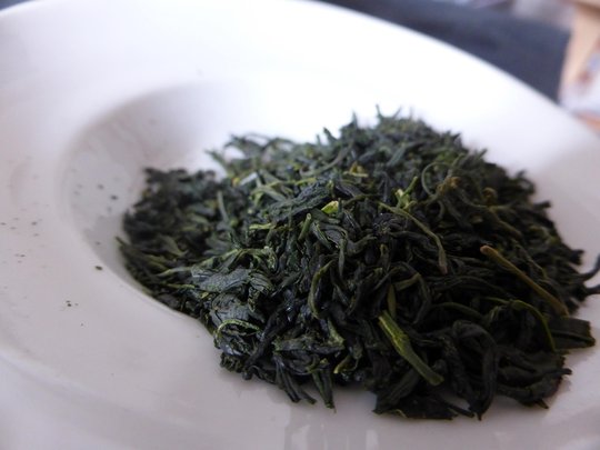 P1000527.JPG