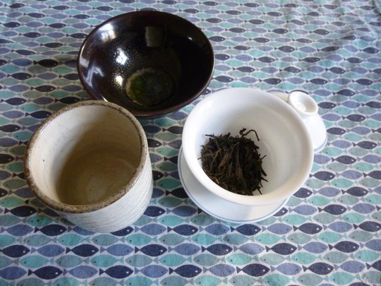 P1000559 - copie.JPG