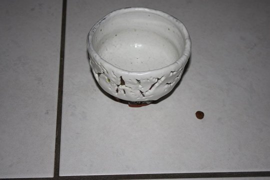 IMG_3193.JPG