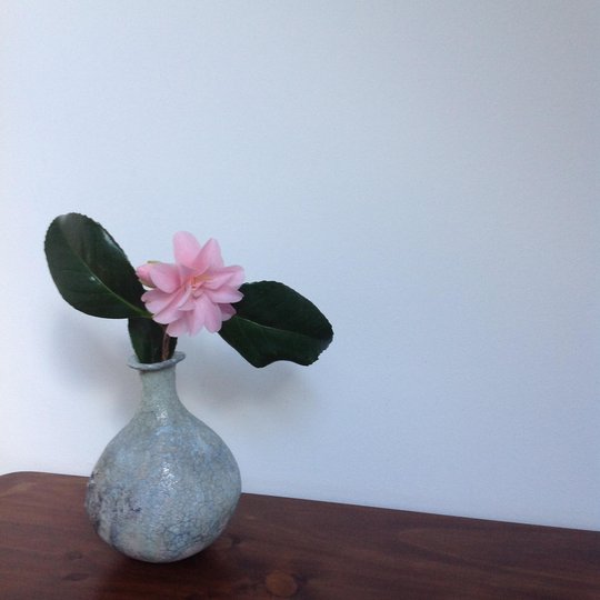 vase camelia.jpeg