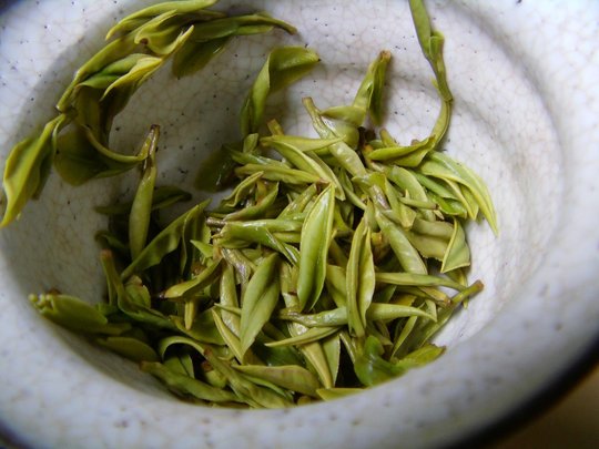 AnjiBaiCha_Charlotte_2016_2.JPG