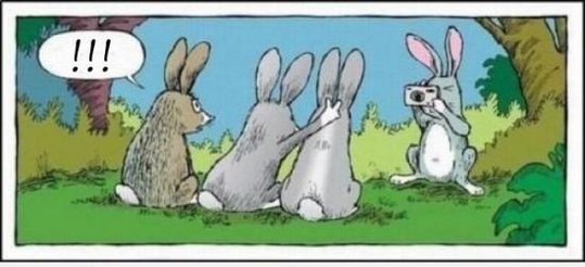 lapin-blague.jpg