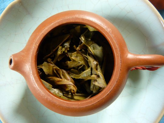 Pu Erh2 06-16.jpg