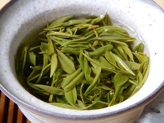 Tian_Mu_Ye_Zhen_Charlotte_2016_steep.JPG