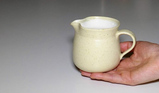 P1050260 (2).JPG