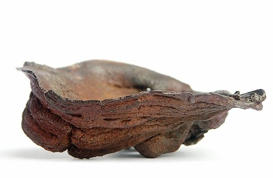 PICT8334.JPG
