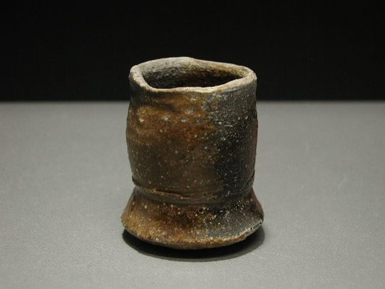 ZP1120129.JPG