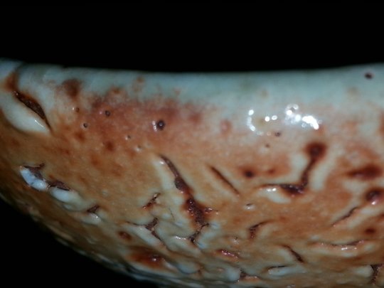 20131228_093934.jpg