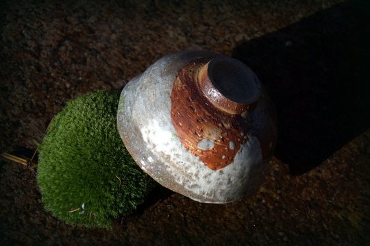 _DSC2088.jpg