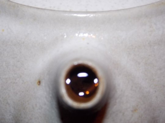 DSCN4303 forum.jpg