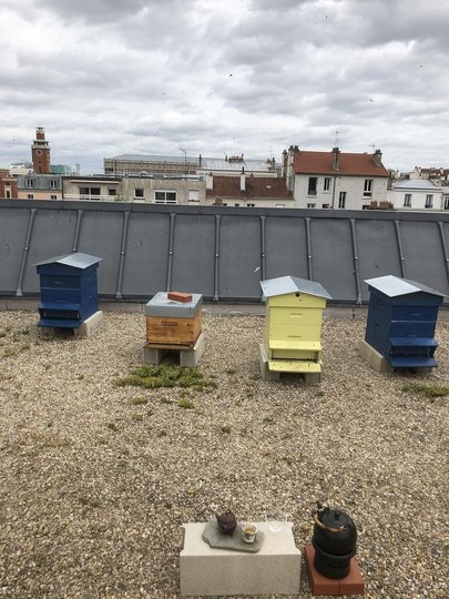 régions_abeilles.jpg