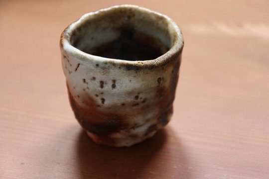 Nezumi Shino Hori Ichiro_1.JPG