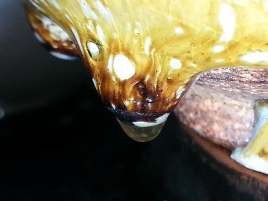 20140119_141048.jpg
