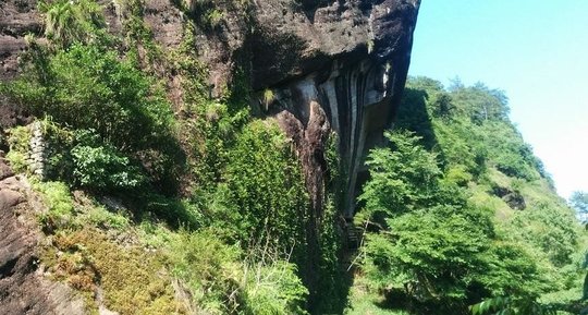 wuyi.jpg