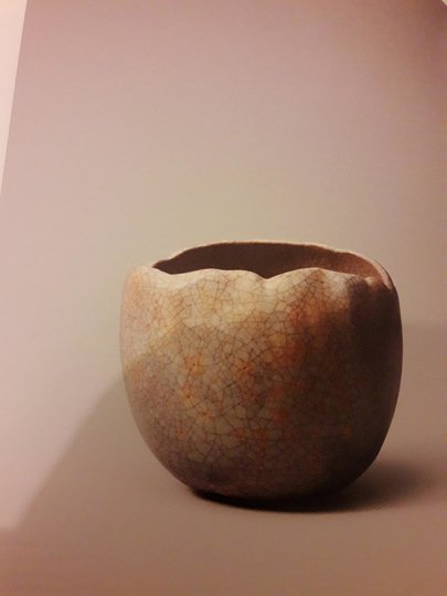20200131_073140.jpg