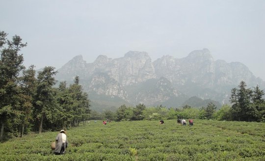 lushan.jpg