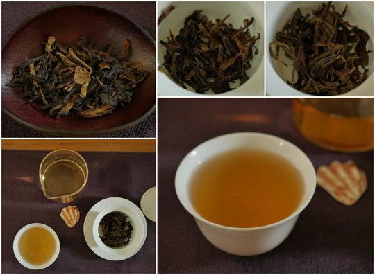 Wuliang WIld 2017 (EoT).jpg