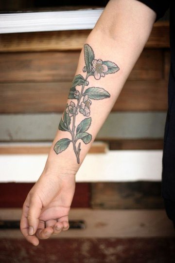 botanical-tea-plant-tattoo.jpg