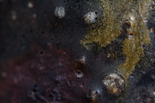 _DSC1362_DxO.jpg