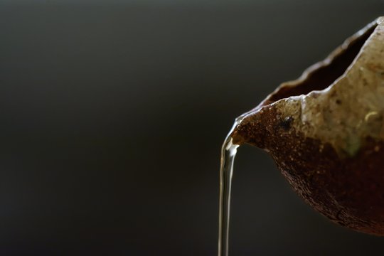_DSC1566_DxO.jpg