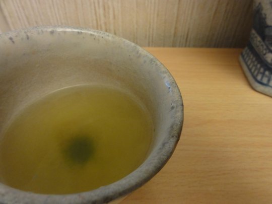 DSC01228-1.JPG