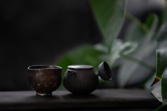 Gyokuro_26_12-2.jpg