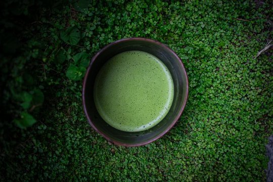 _Matcha_Mardi.jpg