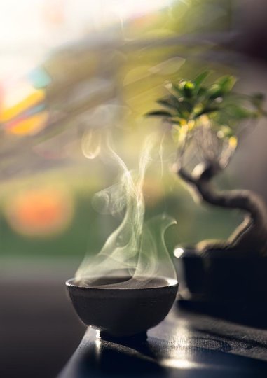 _Jinuoshan 2016_Terredesthes.jpg
