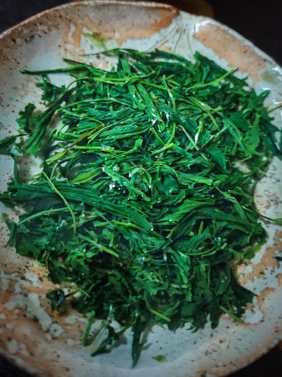 _Gyokuro_Asahi_Kancha-2.jpg