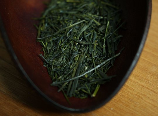 Sencha de Mariko, cultivar Kondo-wase (TdJ).jpg